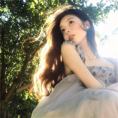 野雏菊